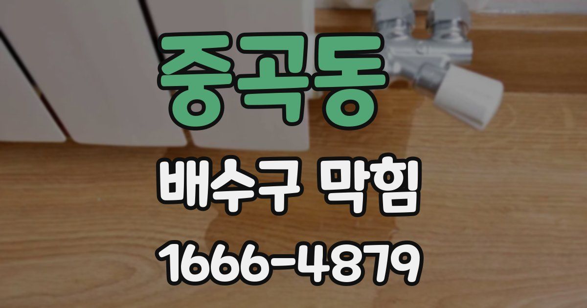 중곡동 배수구 막힘