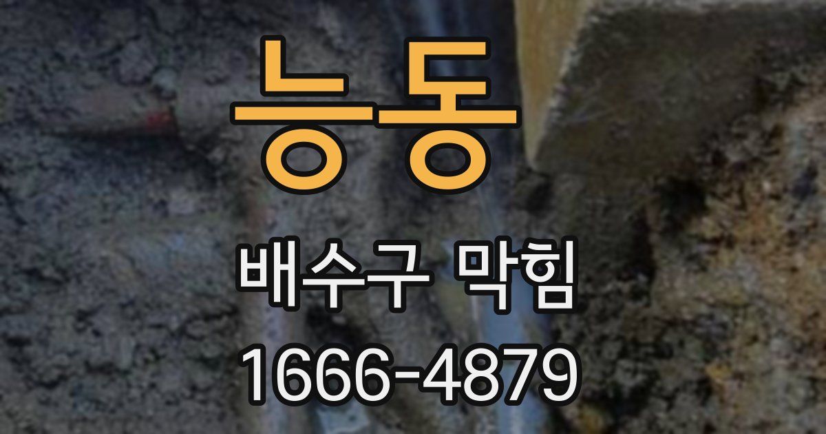 능동 배수구 막힘