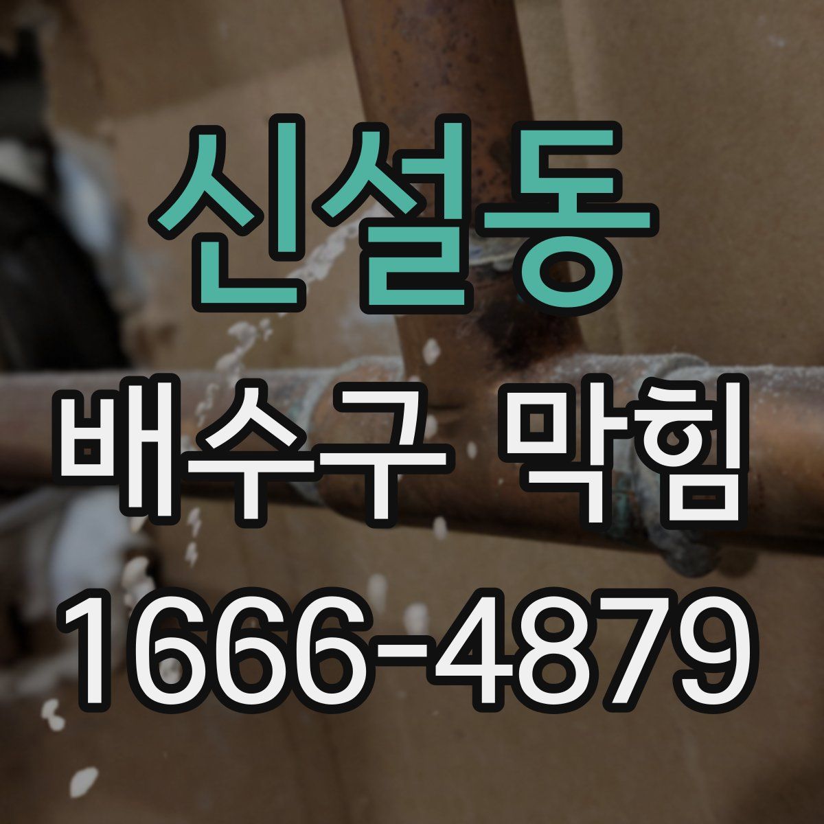 신설동 배수구 막힘