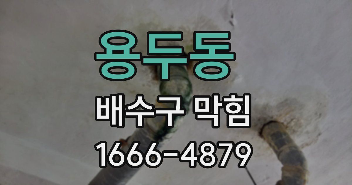 용두동 배수구 막힘