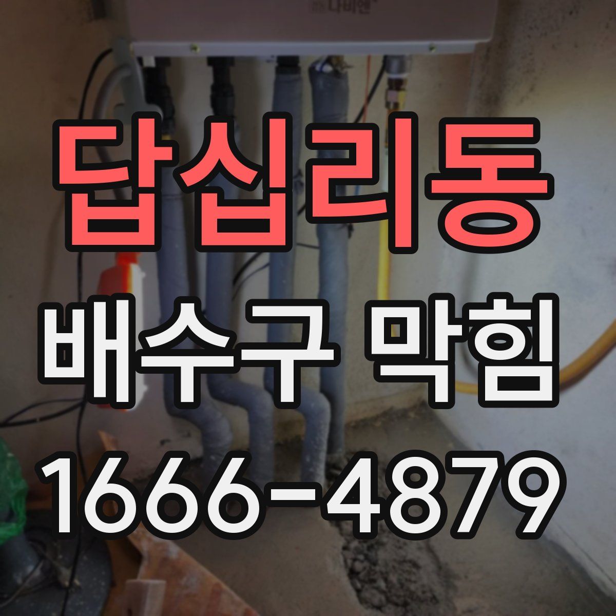 답십리동 배수구 막힘