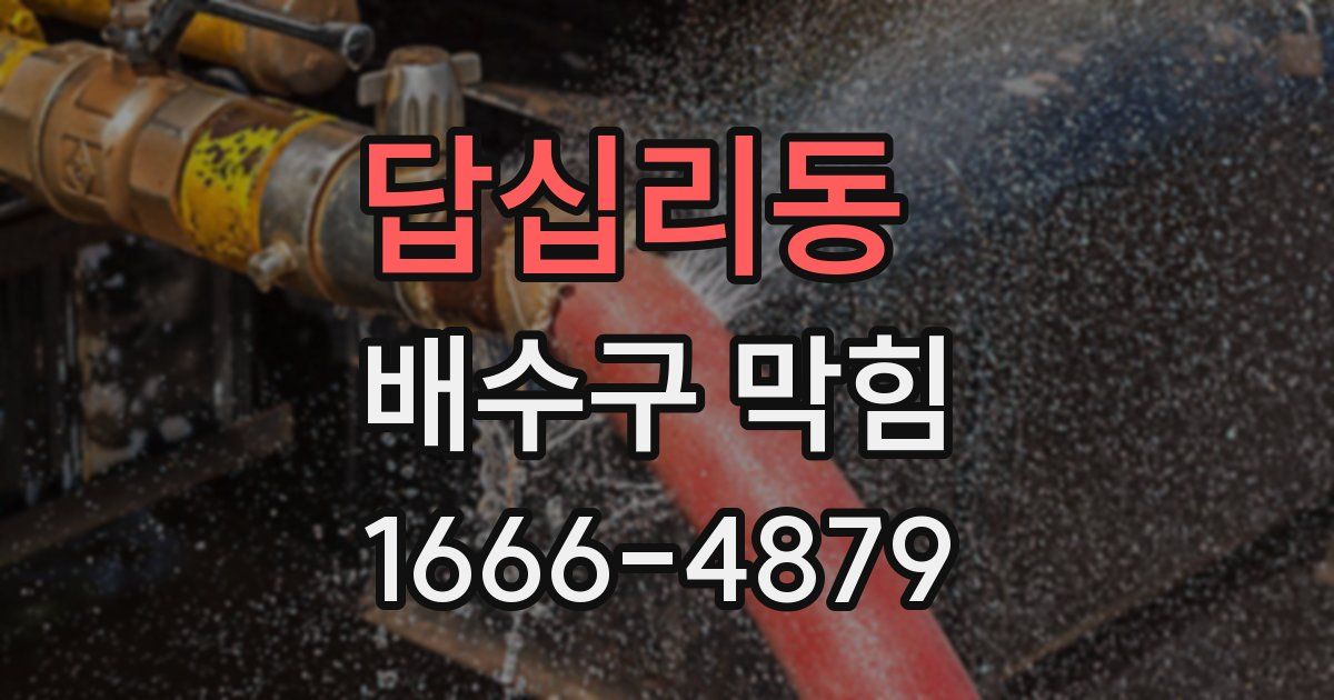 답십리동 배수구 막힘