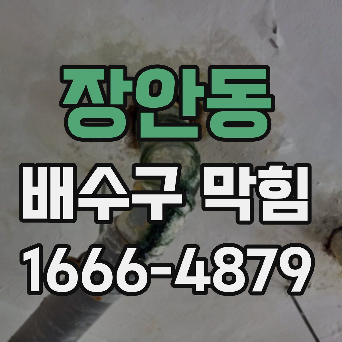 장안동 배수구 막힘