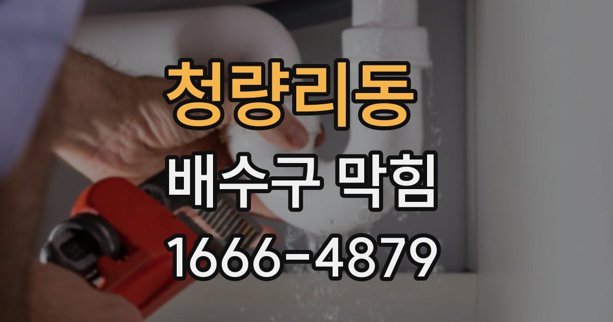 청량리동 배수구 막힘