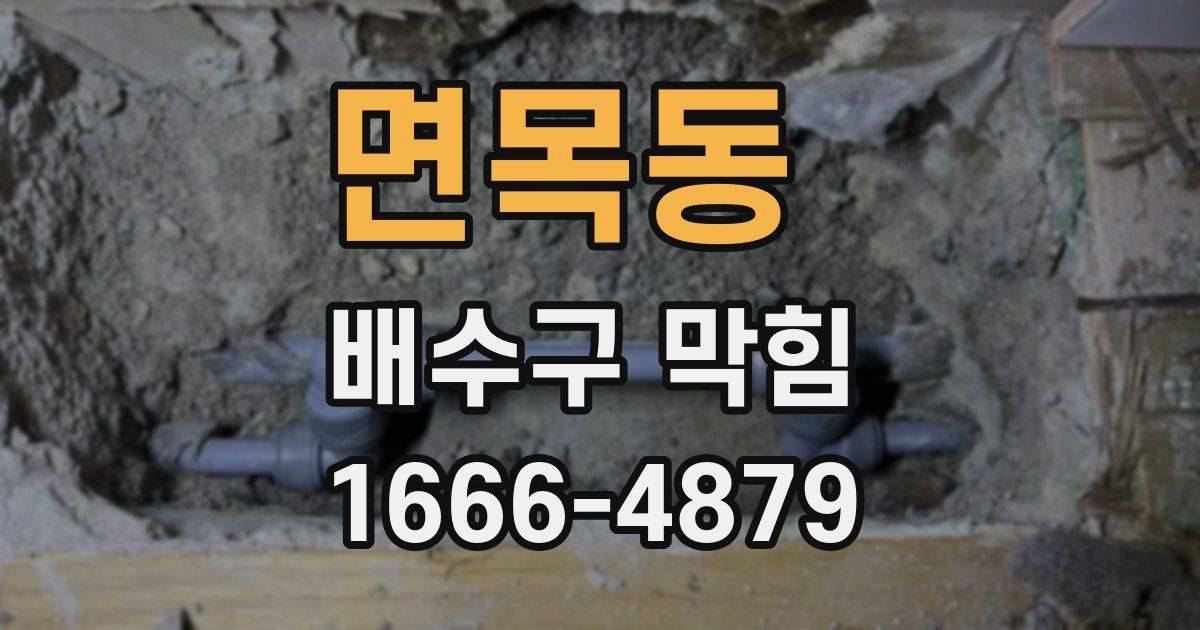 면목동 배수구 막힘