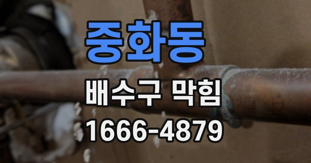 중화동 배수구 막힘