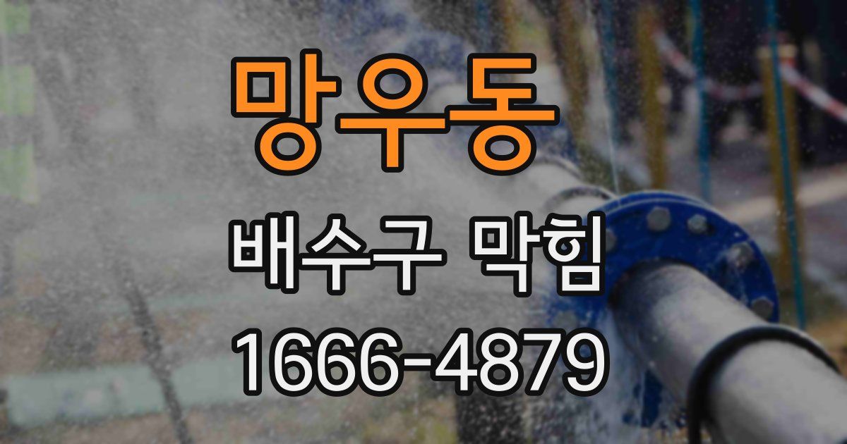 망우동 배수구 막힘
