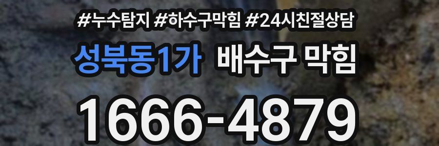 성북동1가 배수구 막힘