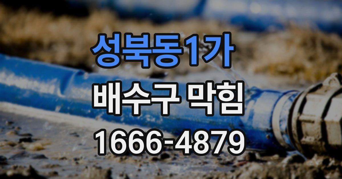 성북동1가 배수구 막힘