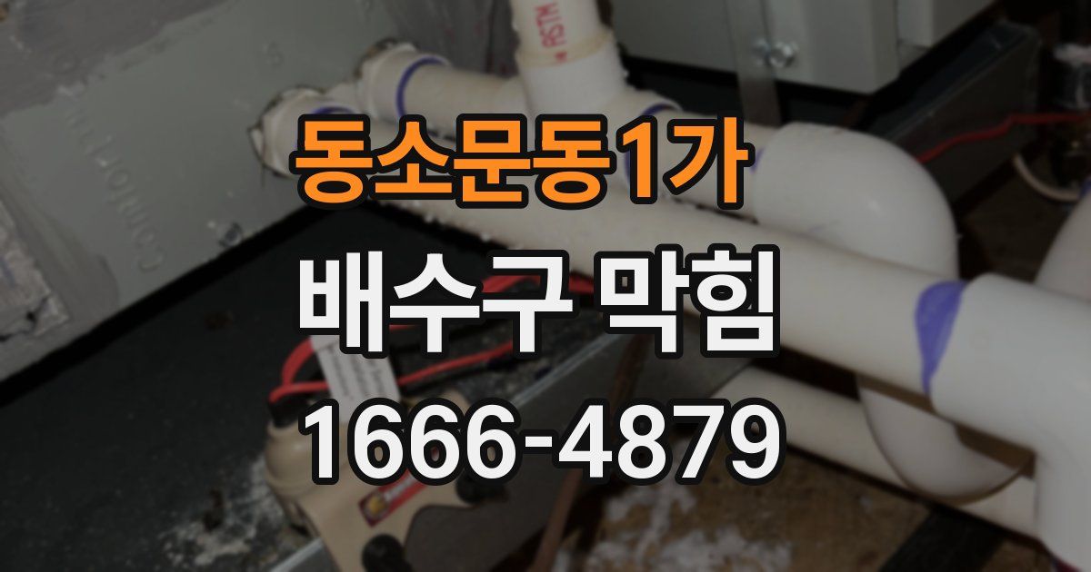 동소문동1가 배수구 막힘