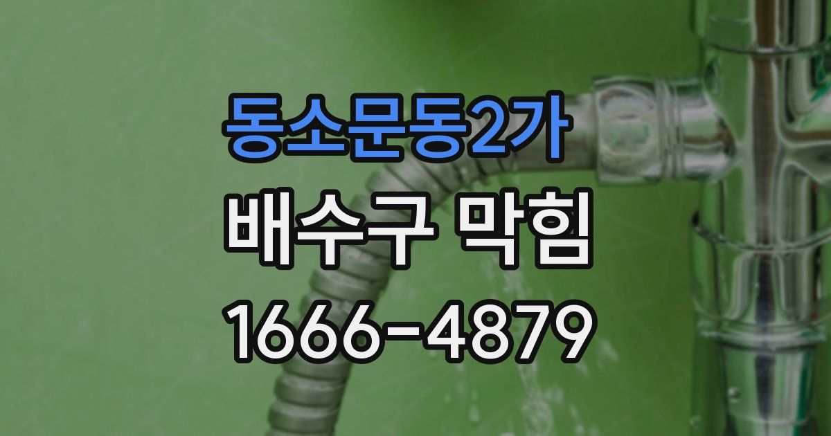 동소문동2가 배수구 막힘