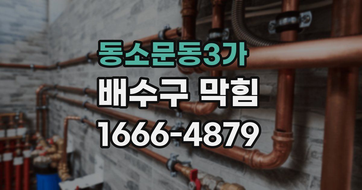 동소문동3가 배수구 막힘