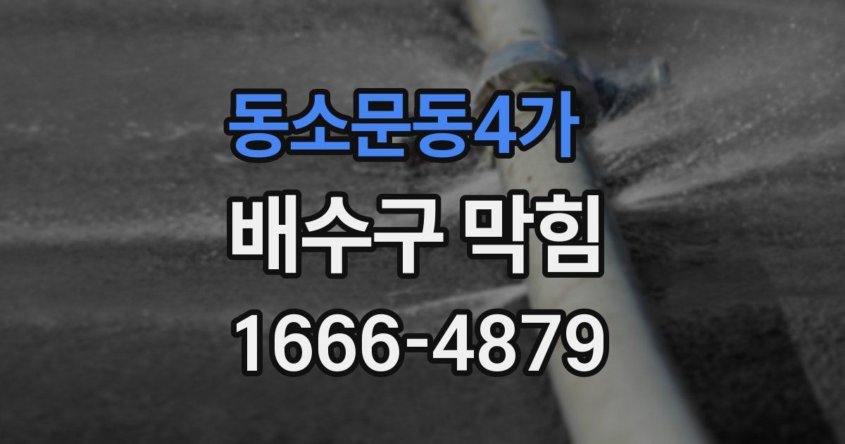 동소문동4가 배수구 막힘