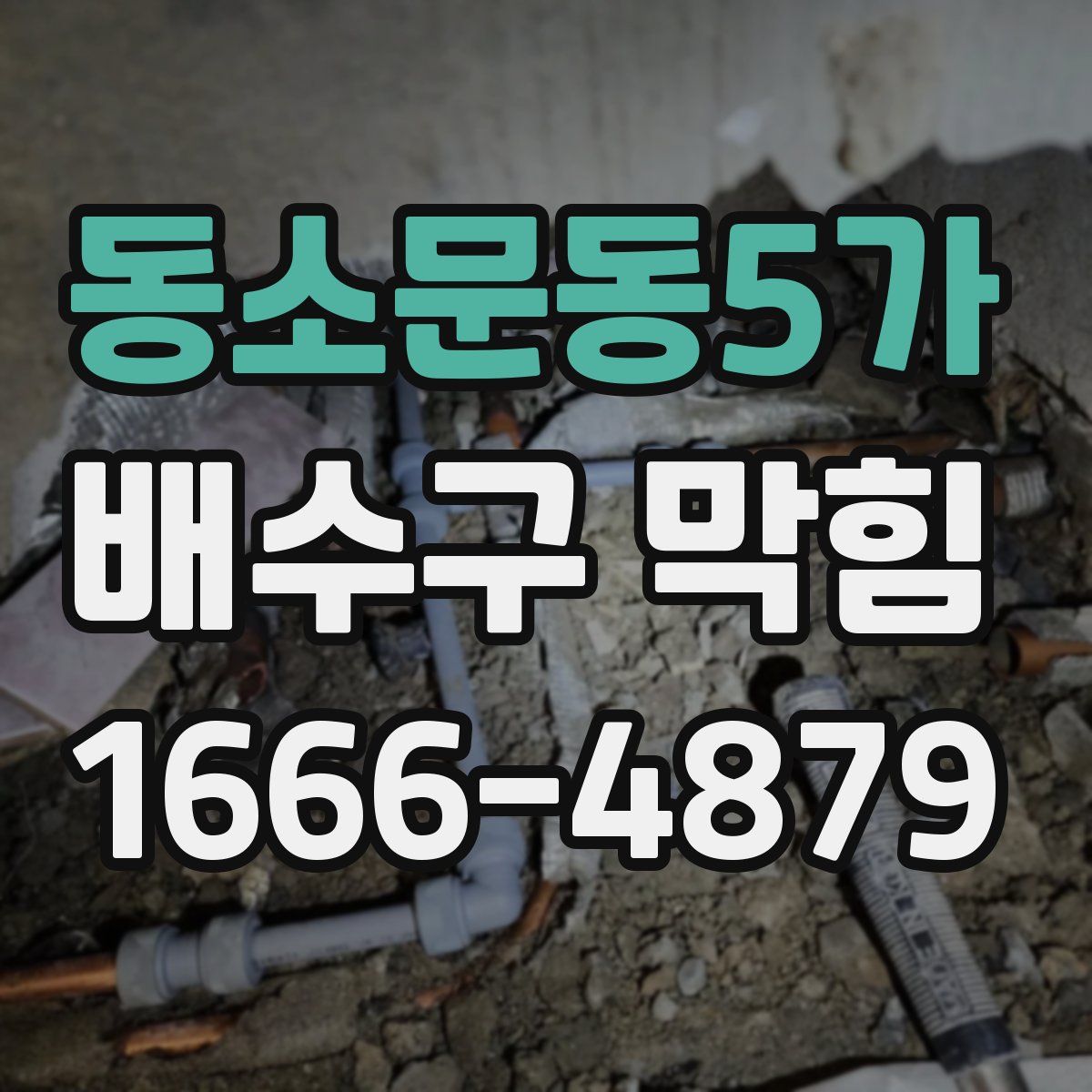 동소문동5가 배수구 막힘