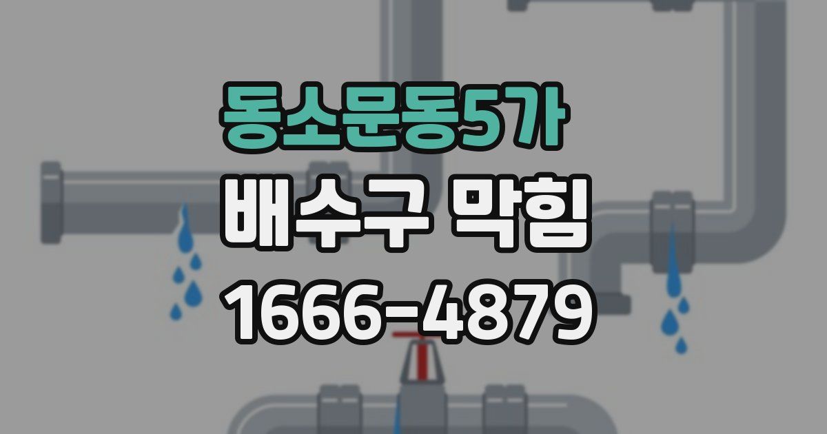 동소문동5가 배수구 막힘