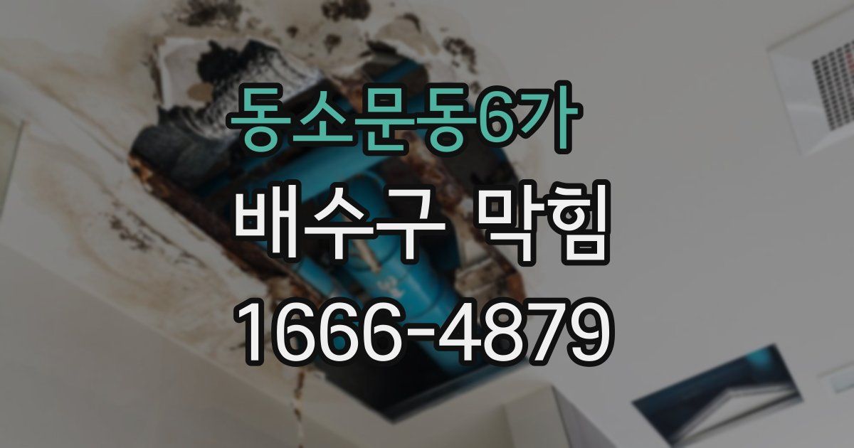 동소문동6가 배수구 막힘