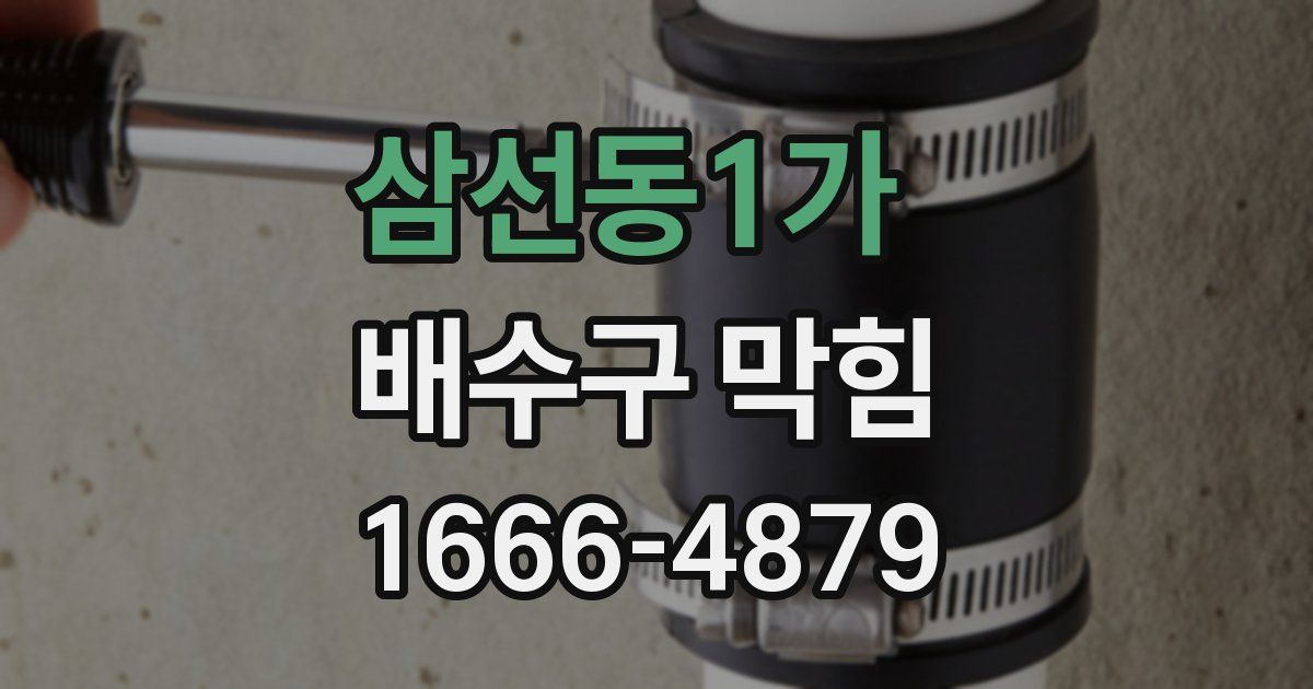 삼선동1가 배수구 막힘