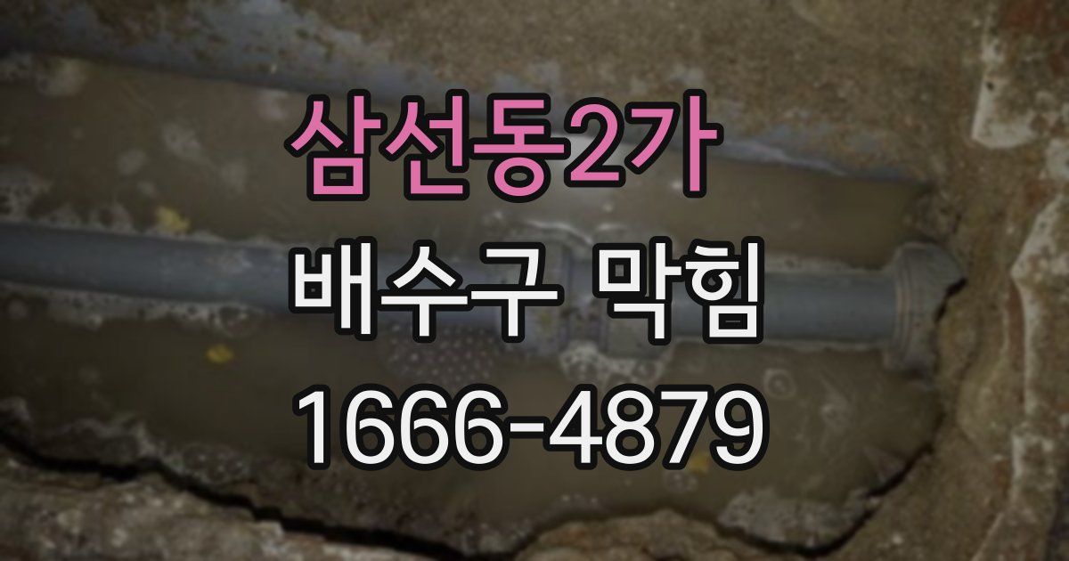 삼선동2가 배수구 막힘