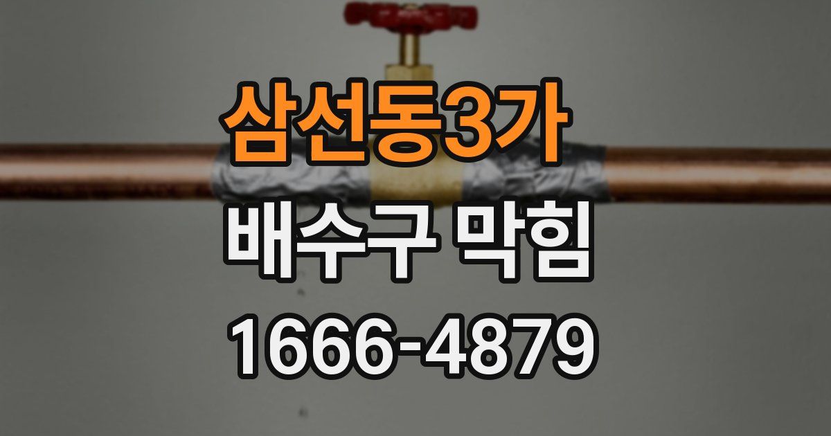 삼선동3가 배수구 막힘