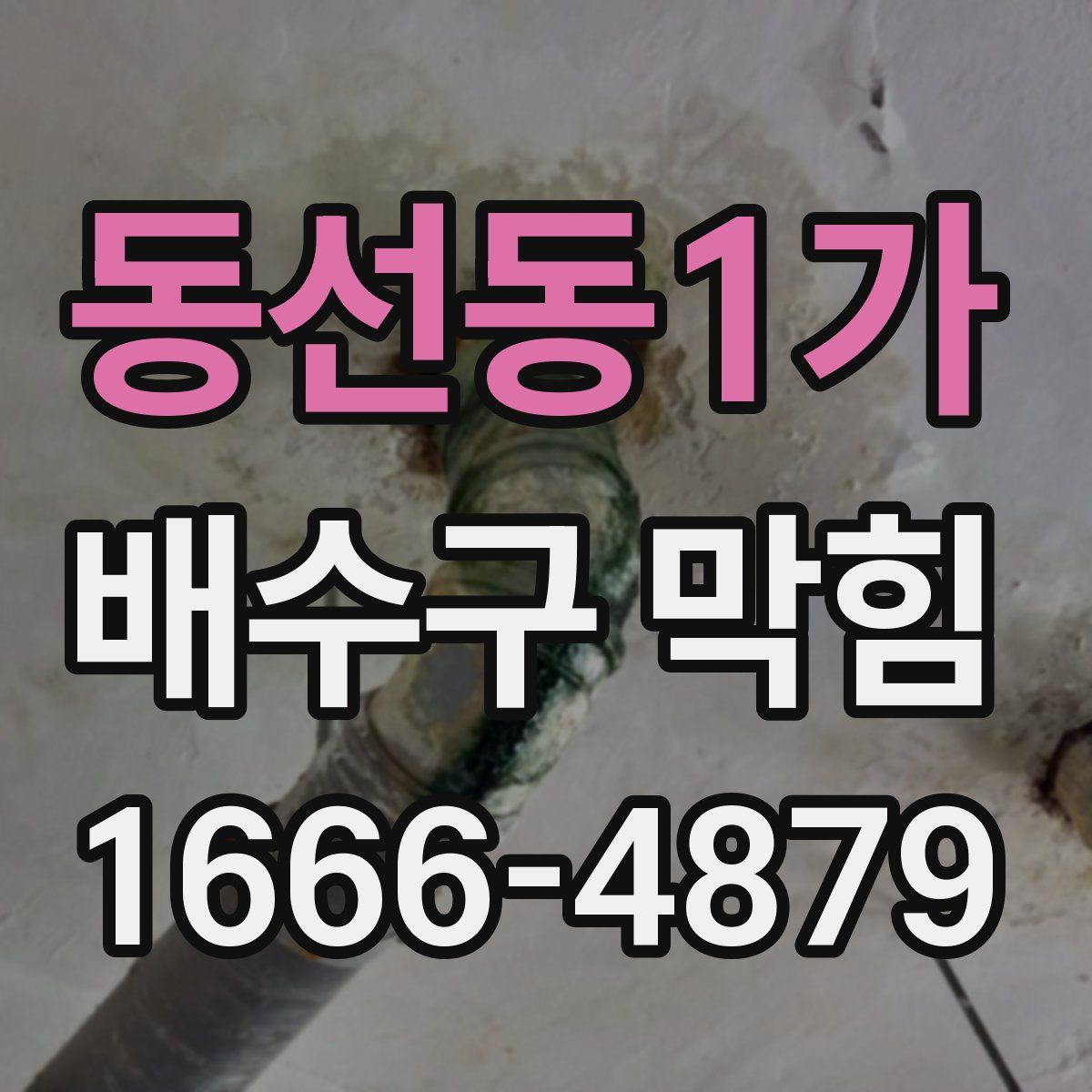 동선동1가 배수구 막힘