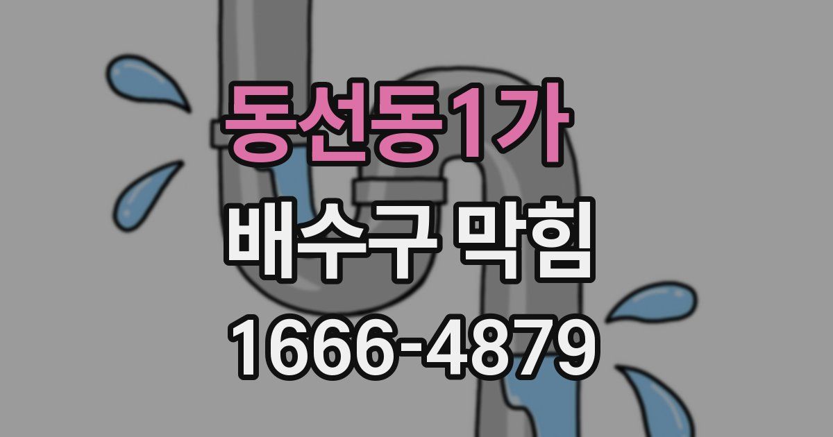 동선동1가 배수구 막힘
