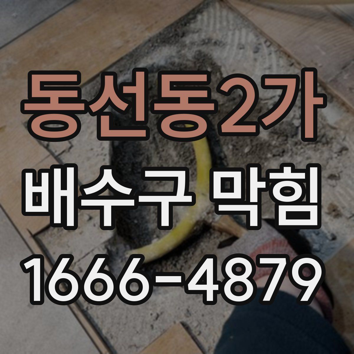 동선동2가 배수구 막힘