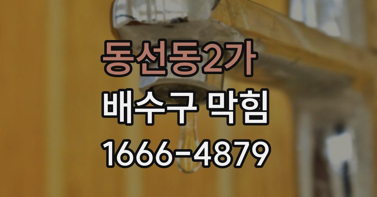 동선동2가 배수구 막힘