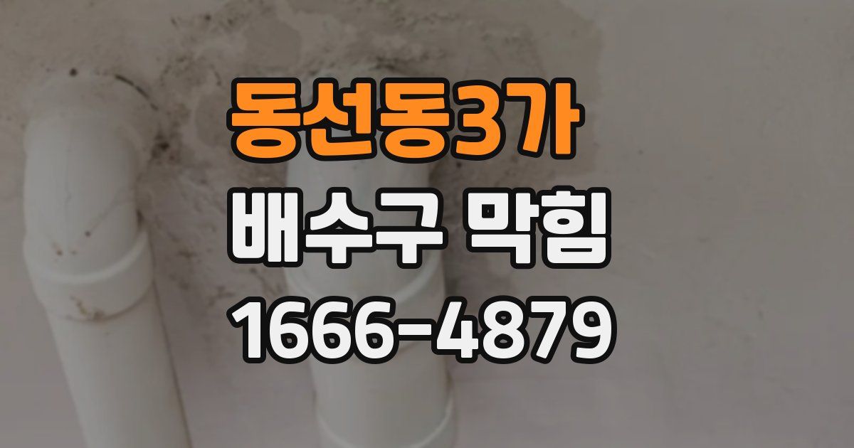 동선동3가 배수구 막힘