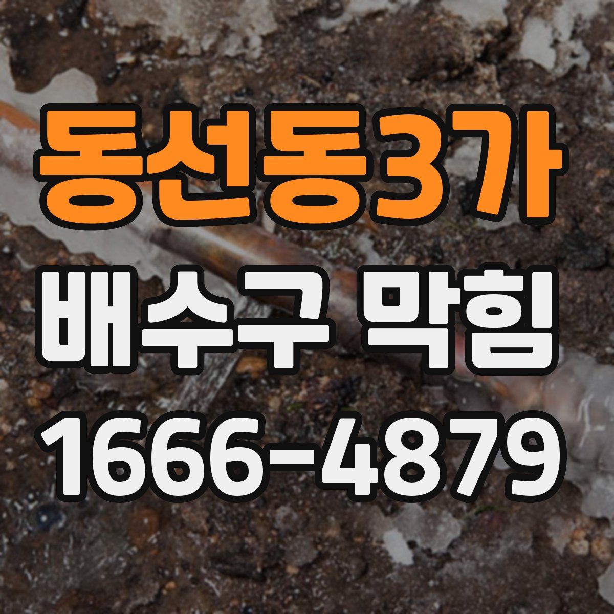 동선동3가 배수구 막힘