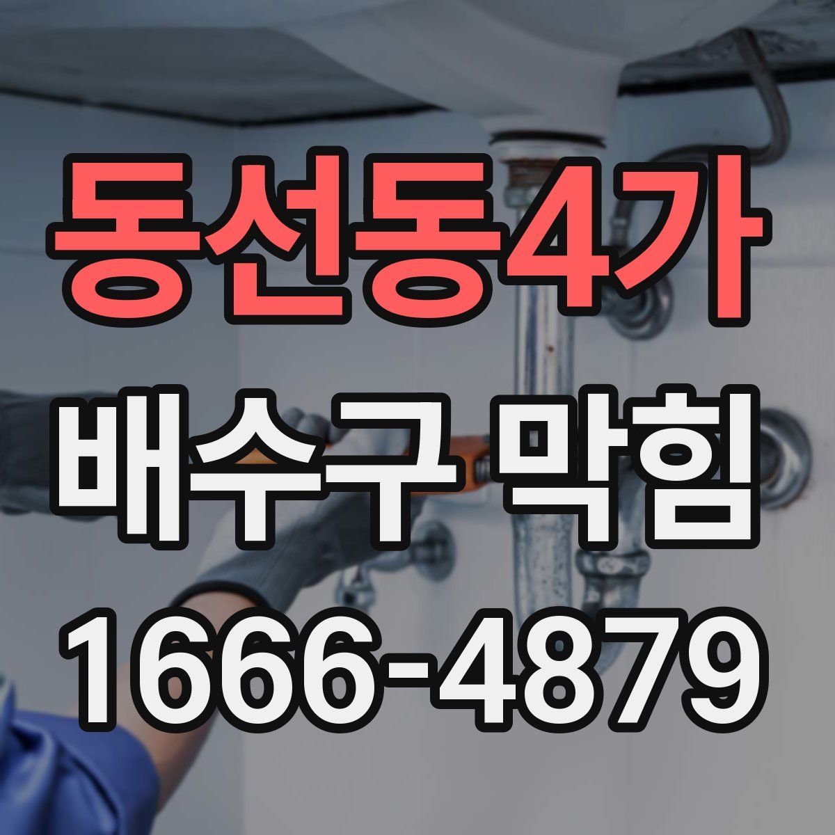 동선동4가 배수구 막힘