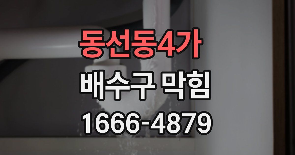 동선동4가 배수구 막힘