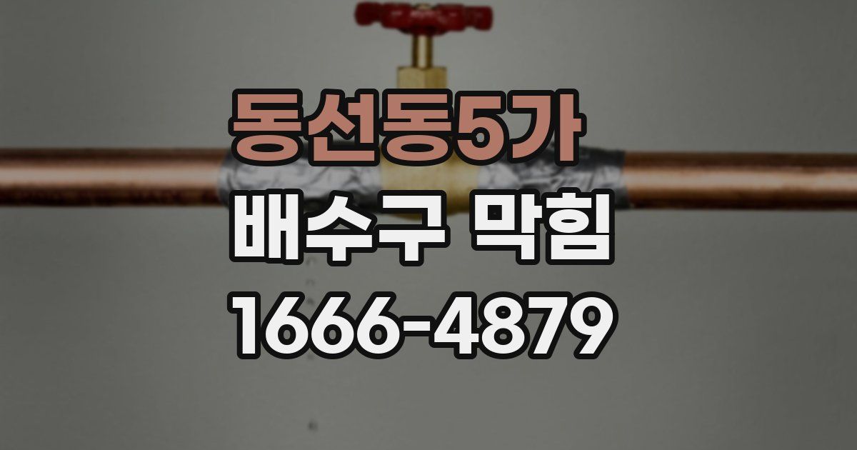 동선동5가 배수구 막힘