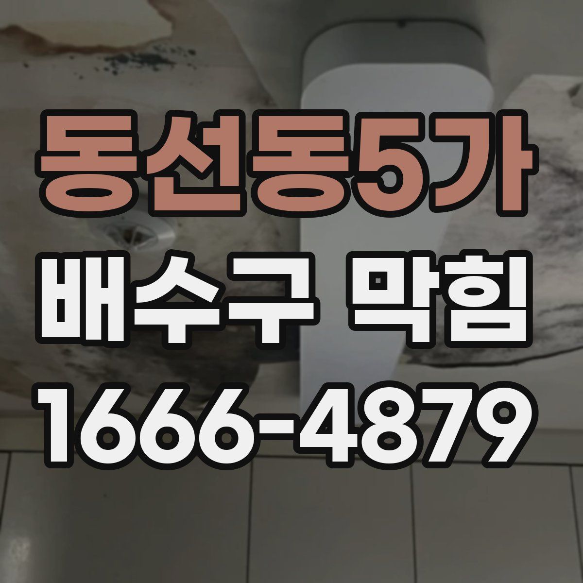 동선동5가 배수구 막힘