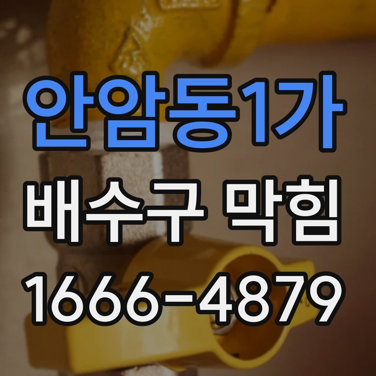 안암동1가 배수구 막힘