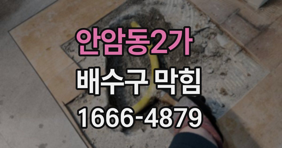 안암동2가 배수구 막힘