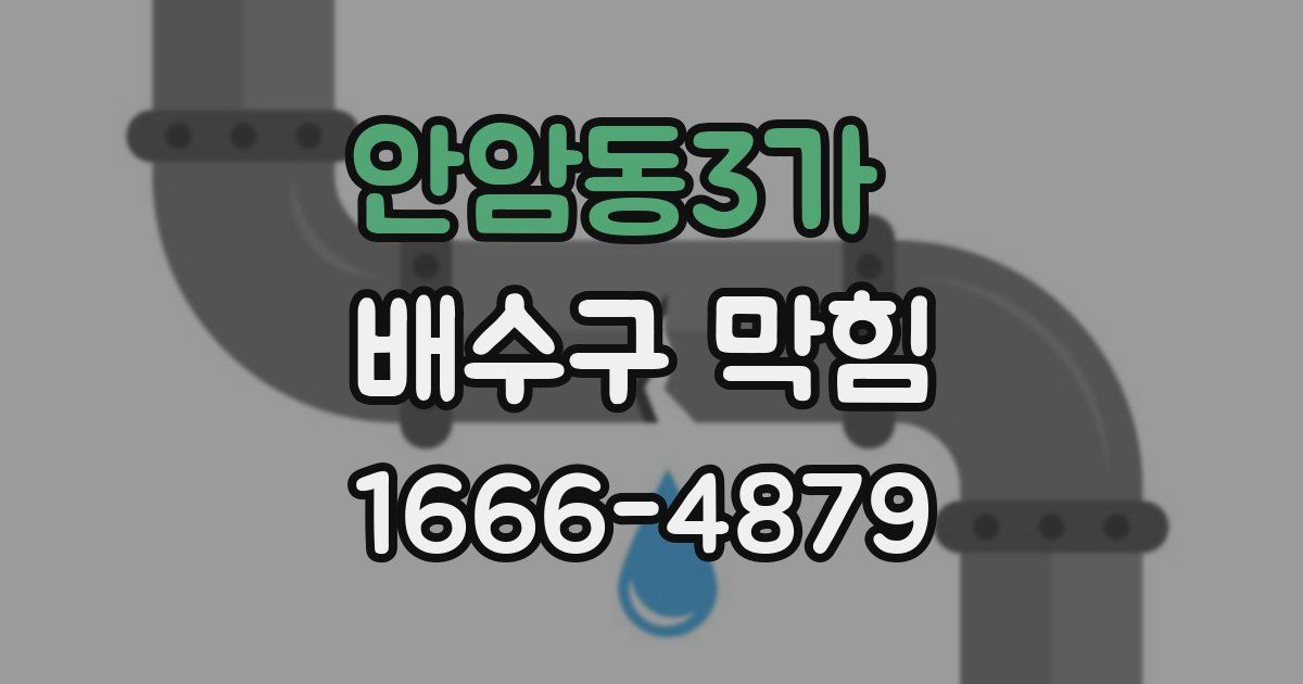 안암동3가 배수구 막힘