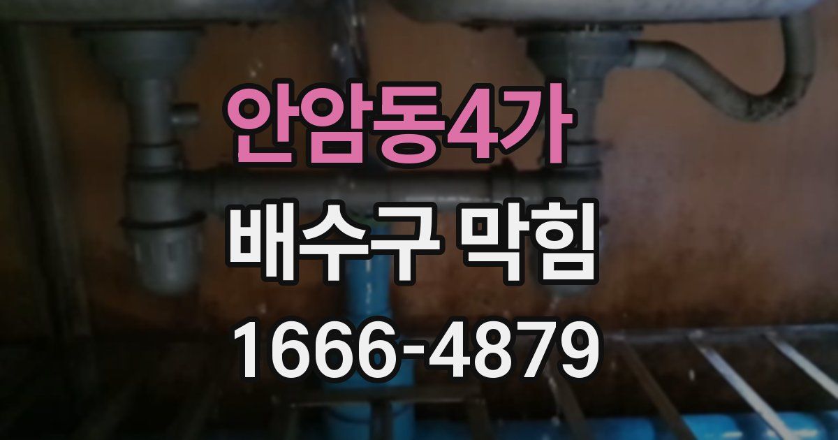 안암동4가 배수구 막힘