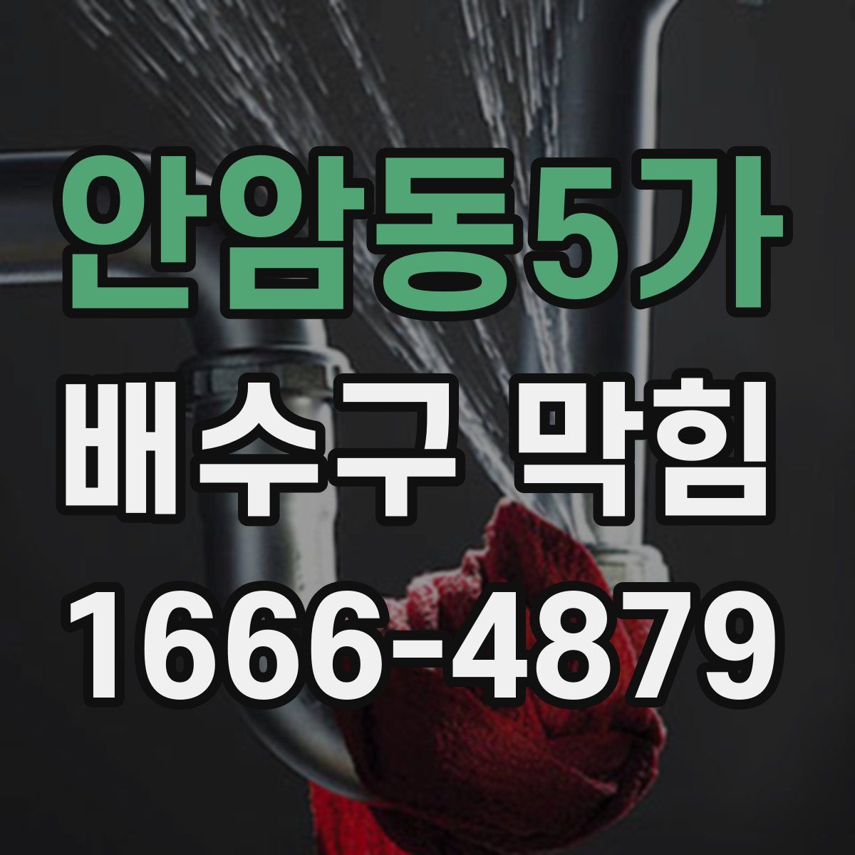 안암동5가 배수구 막힘