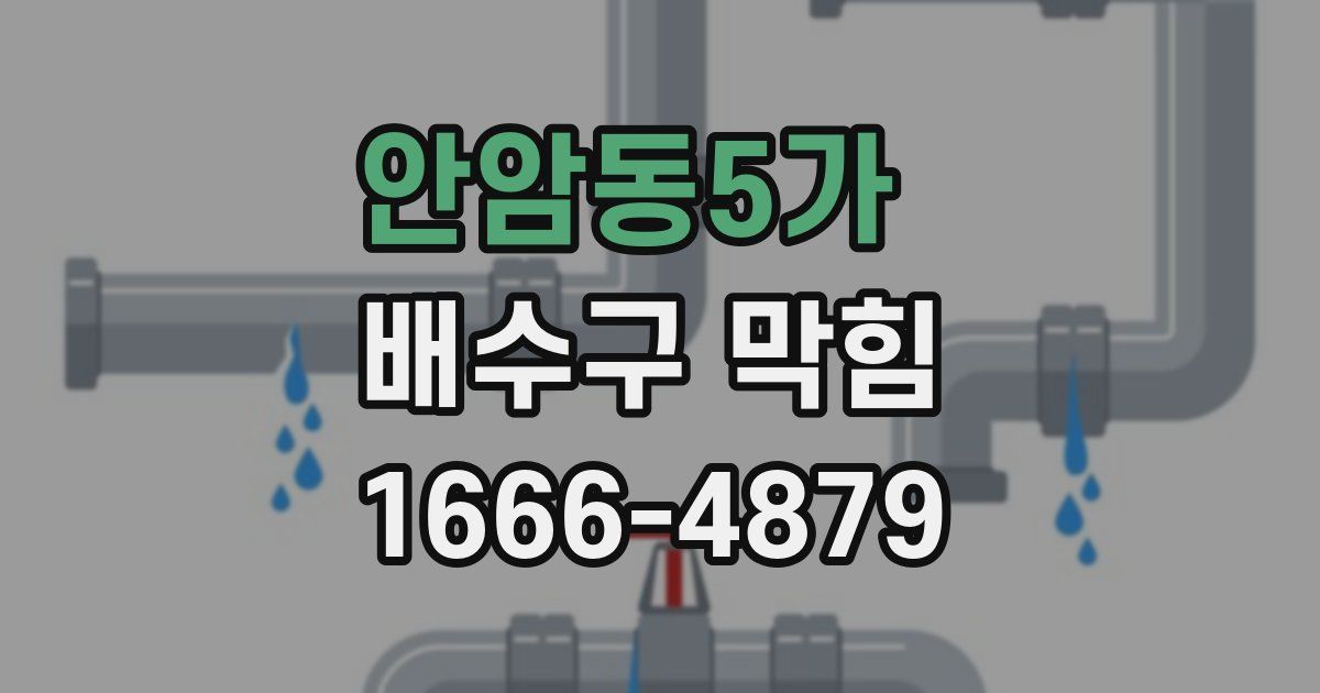 안암동5가 배수구 막힘
