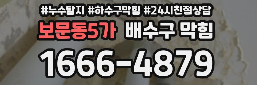 보문동5가 배수구 막힘