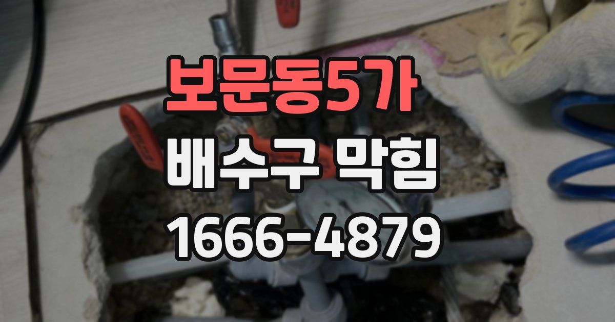 보문동5가 배수구 막힘