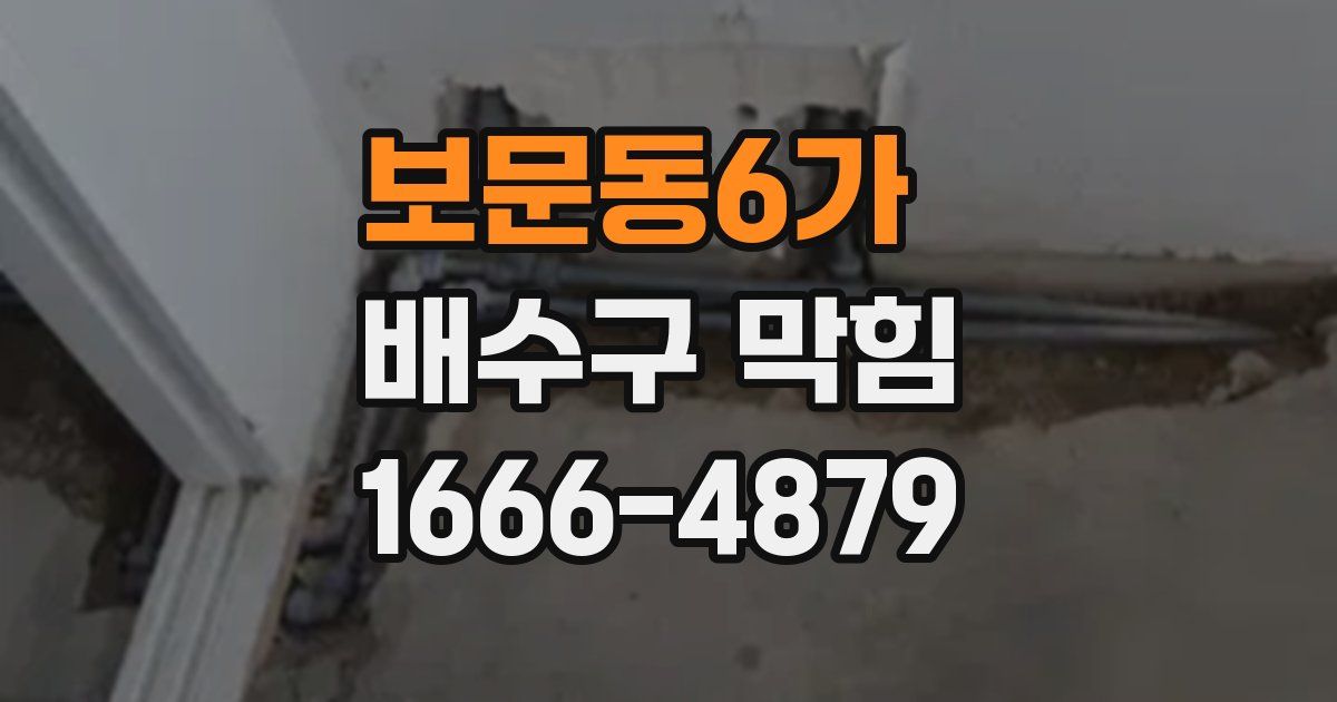 보문동6가 배수구 막힘