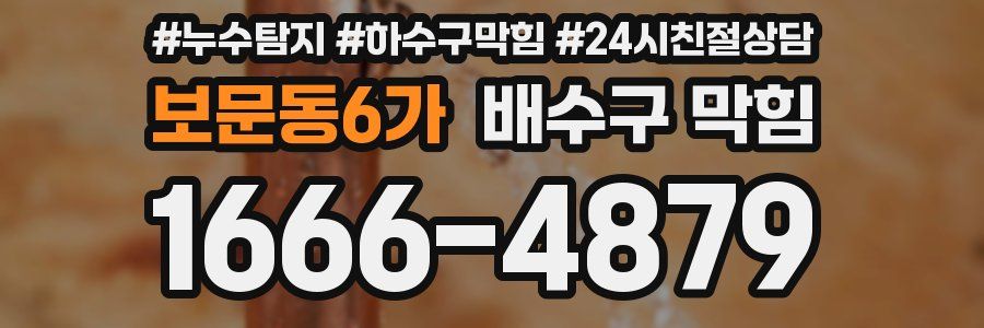 보문동6가 배수구 막힘