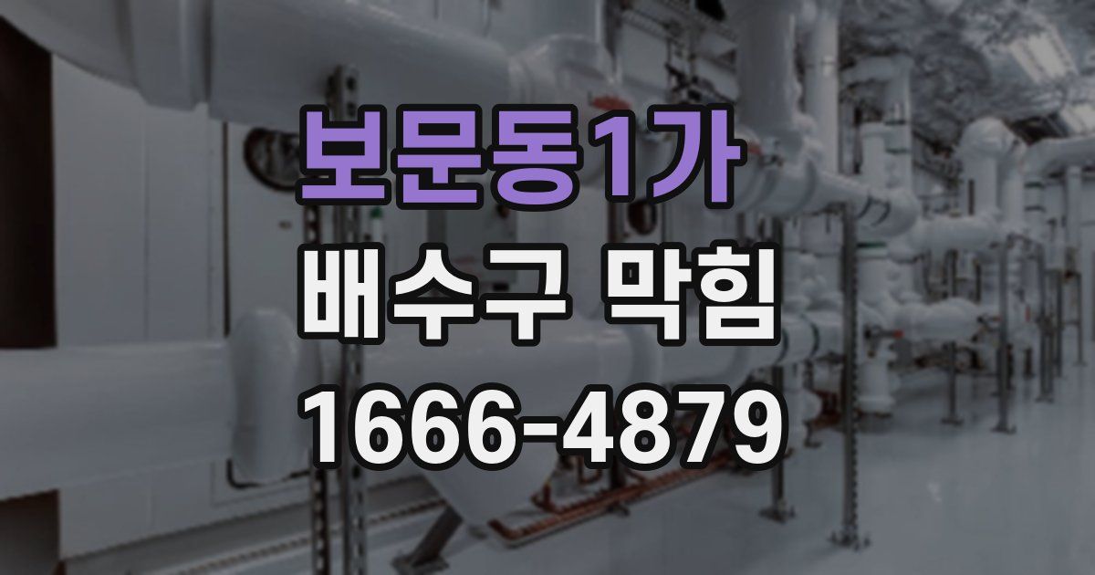 보문동1가 배수구 막힘