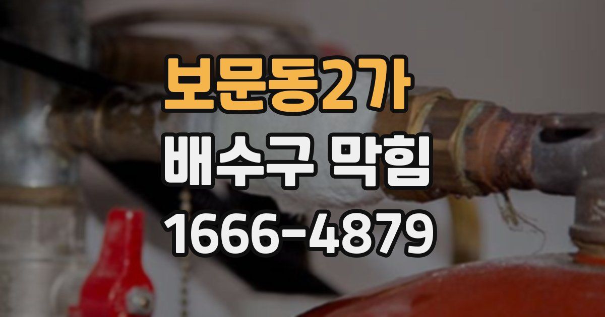 보문동2가 배수구 막힘