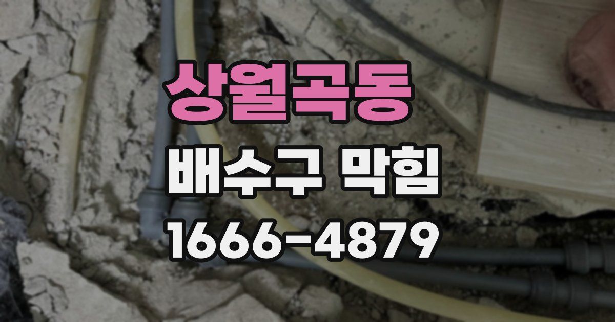 상월곡동 배수구 막힘