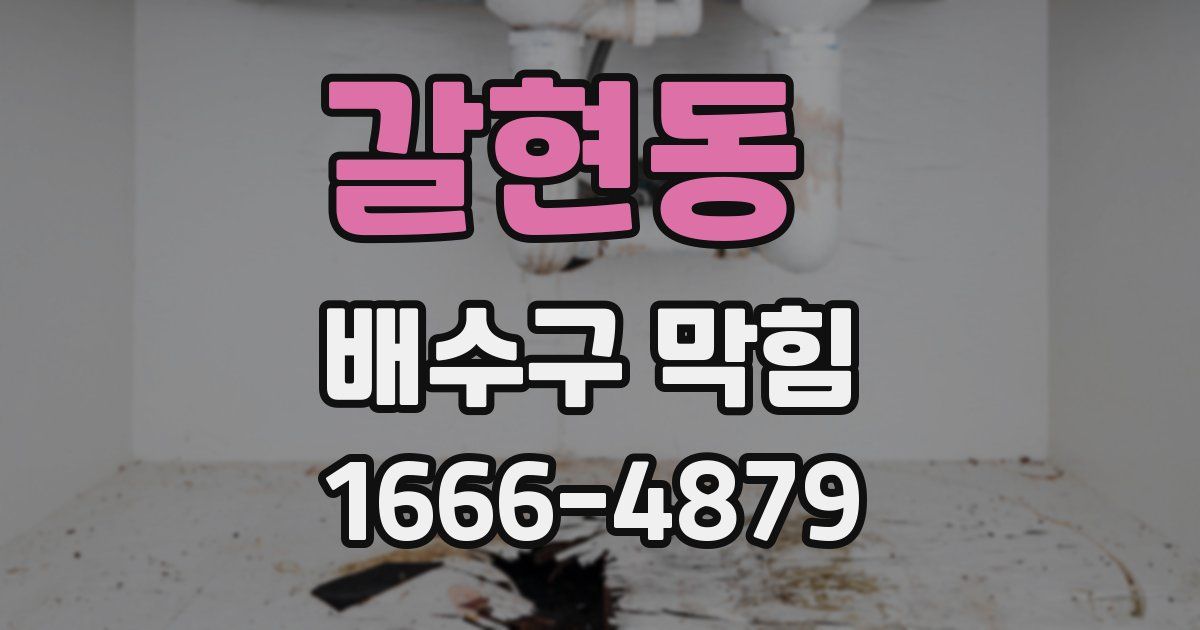 갈현동 배수구 막힘