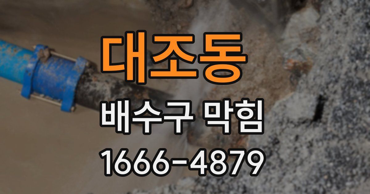 대조동 배수구 막힘