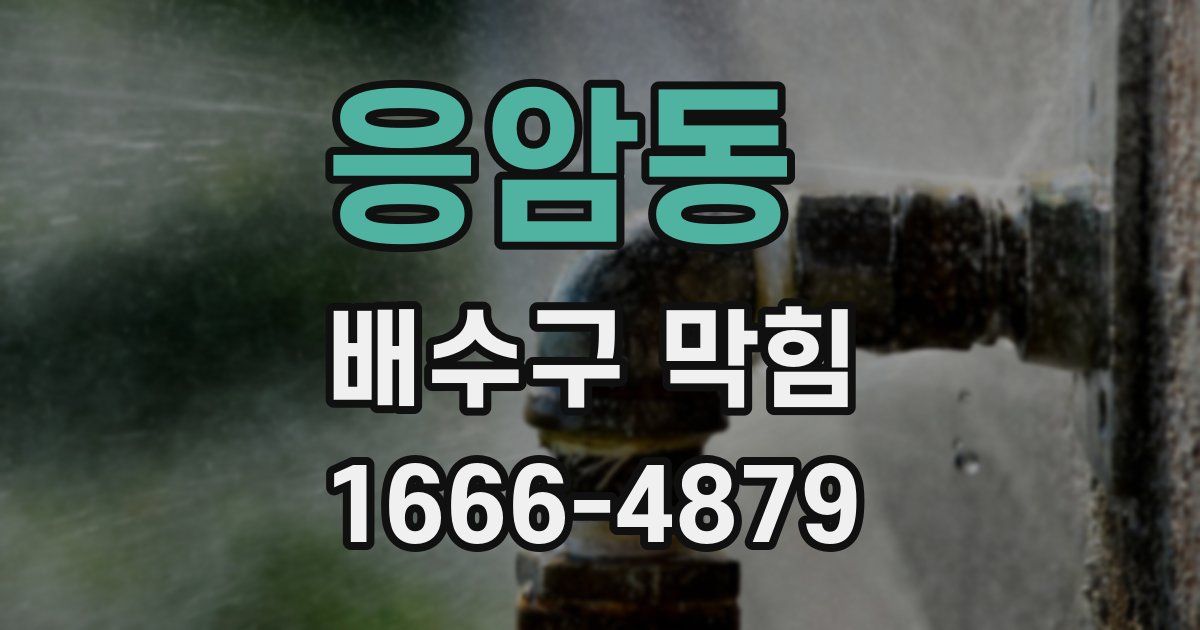 응암동 배수구 막힘