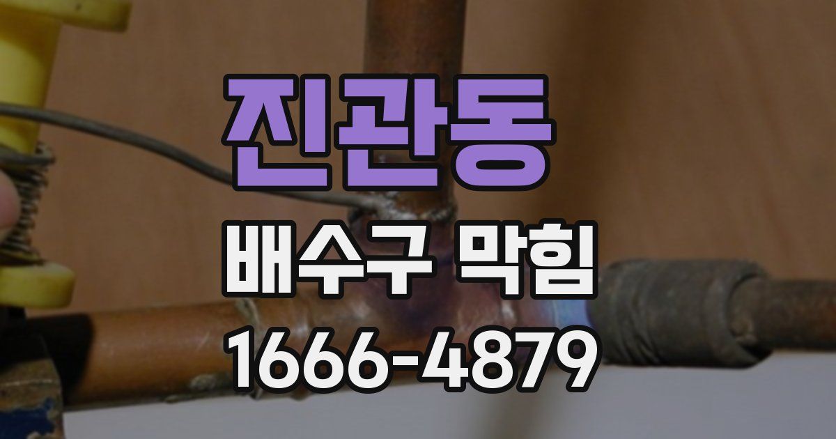 진관동 배수구 막힘